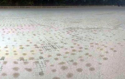 Moisture spots are seen in the first layer of footing, as the HIT Active Aqua arena at Brave Horse is being constructed and tested.