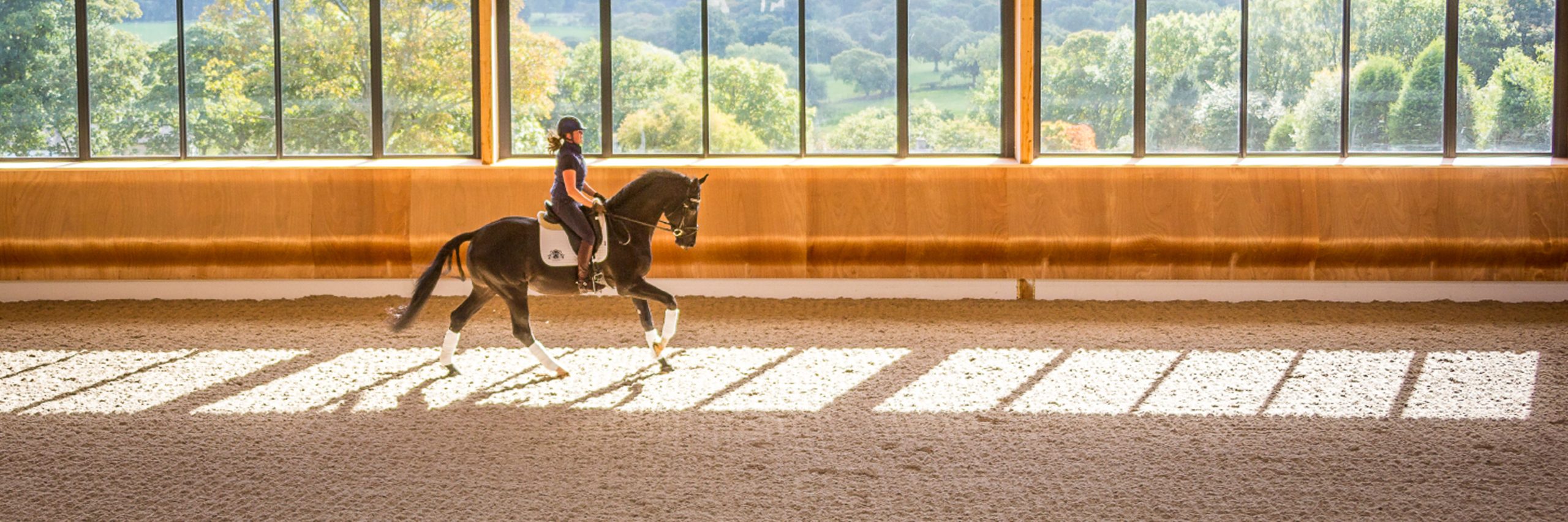 A dressage rider and horse canter down the long side of an indoor arena