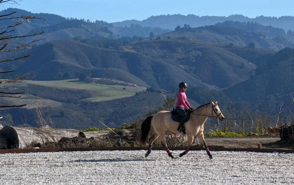 A horse and rider trot through the new arena at Half Moon Bay, with mountains in the background.