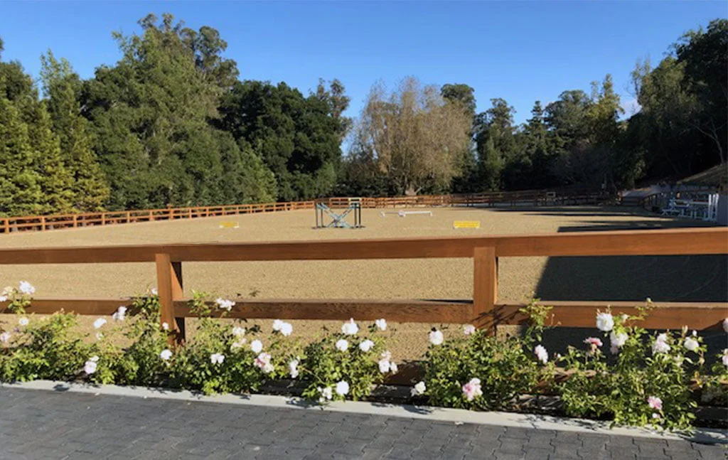 A wooden, split-rail fence with white flowers along it encompasses an outdoor jumping arena.