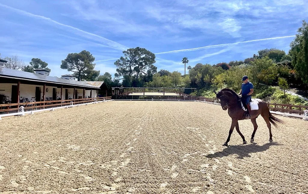 A horse and rider trot across the new outdoor dressage arena at Palos Verdes.