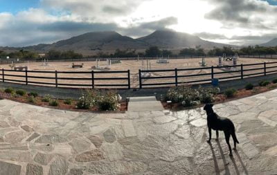 The completed outdoor jumping arena at Sage Hill Farm, with a dog overlooking the arena in the foreground and small mountains in the background.