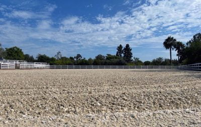 The new arena has been complete and arena footing groomed at Saxton Sporthorses.